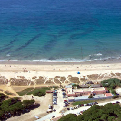 Midsize 1132121a8b4af9c6a6c001ac8a2e1494