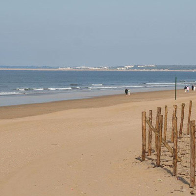 Midsize 0c4d5f3e54ee8d33620c7b9c4a1277c6