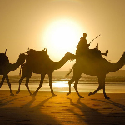 Midsize 19c6fc3be8f0a684977ead8487b878f8