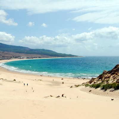 Midsize 20a4da95fd92d8ac55b9ee9eabc404ca